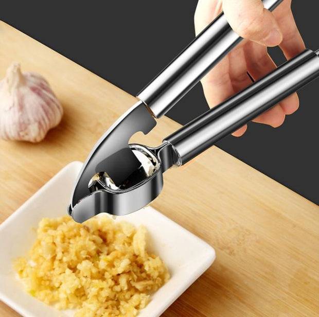 Stainless Steel Garlic Press Crusher & Squeezer – Premium Kitchen Accessory | Best Price in Pakistan